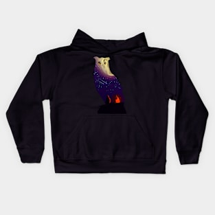 owl night Kids Hoodie